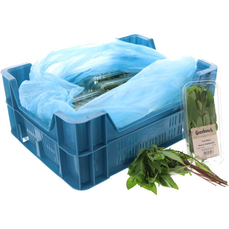 *PRODUIT BLOQUE* BASILIC THAI GROSBUSCH 12X20G